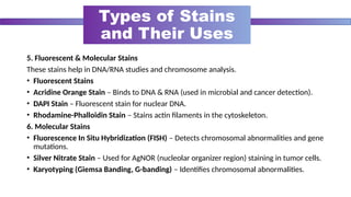 Basics of cytology along with cellular morphology | PPTX