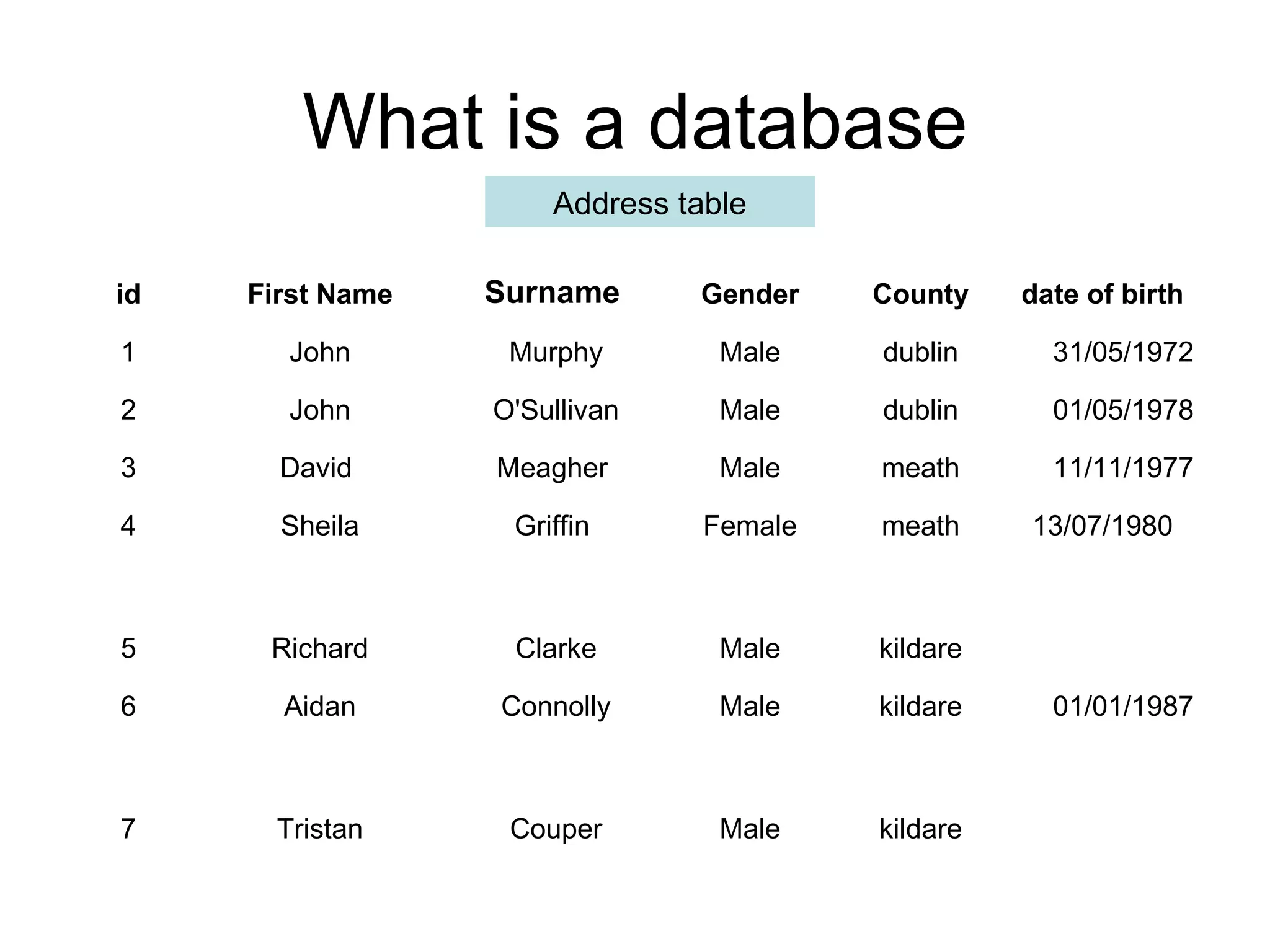 What is a database Address table kildare Male Couper Tristan 7 01/01/1987 kildare Male Connolly Aidan 6 kildare Male Clarke Richard 5 13/07/1980 meath Female Griffin Sheila 4 11/11/1977 meath Male Meagher David  3 01/05/1978 dublin Male O'Sullivan John 2 31/05/1972 dublin Male Murphy John 1 date of birth County Gender Surname First Name id 