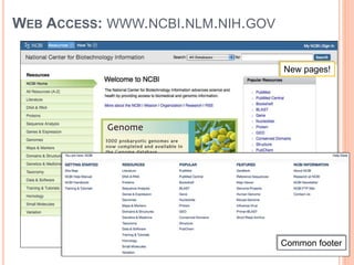 WEB ACCESS: WWW.NCBI.NLM.NIH.GOV
New Homepage
Common footer
New pages!
 