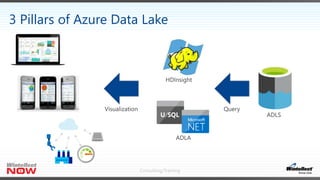 Consulting/Training
3 Pillars of Azure Data Lake
 