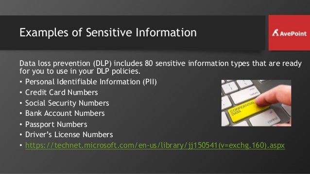 loss prevention policy template