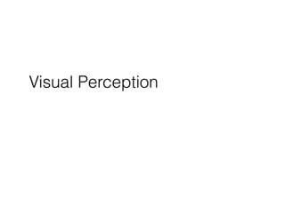 Visual Perception
 