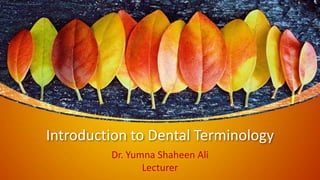 Introduction to Dental Terminology
Dr. Yumna Shaheen Ali
Lecturer
 