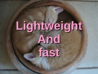 LLiigghhttwweeiigghhtt 
AAnndd 
ffaasstt 
 