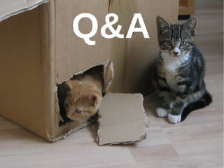 Q&A 
