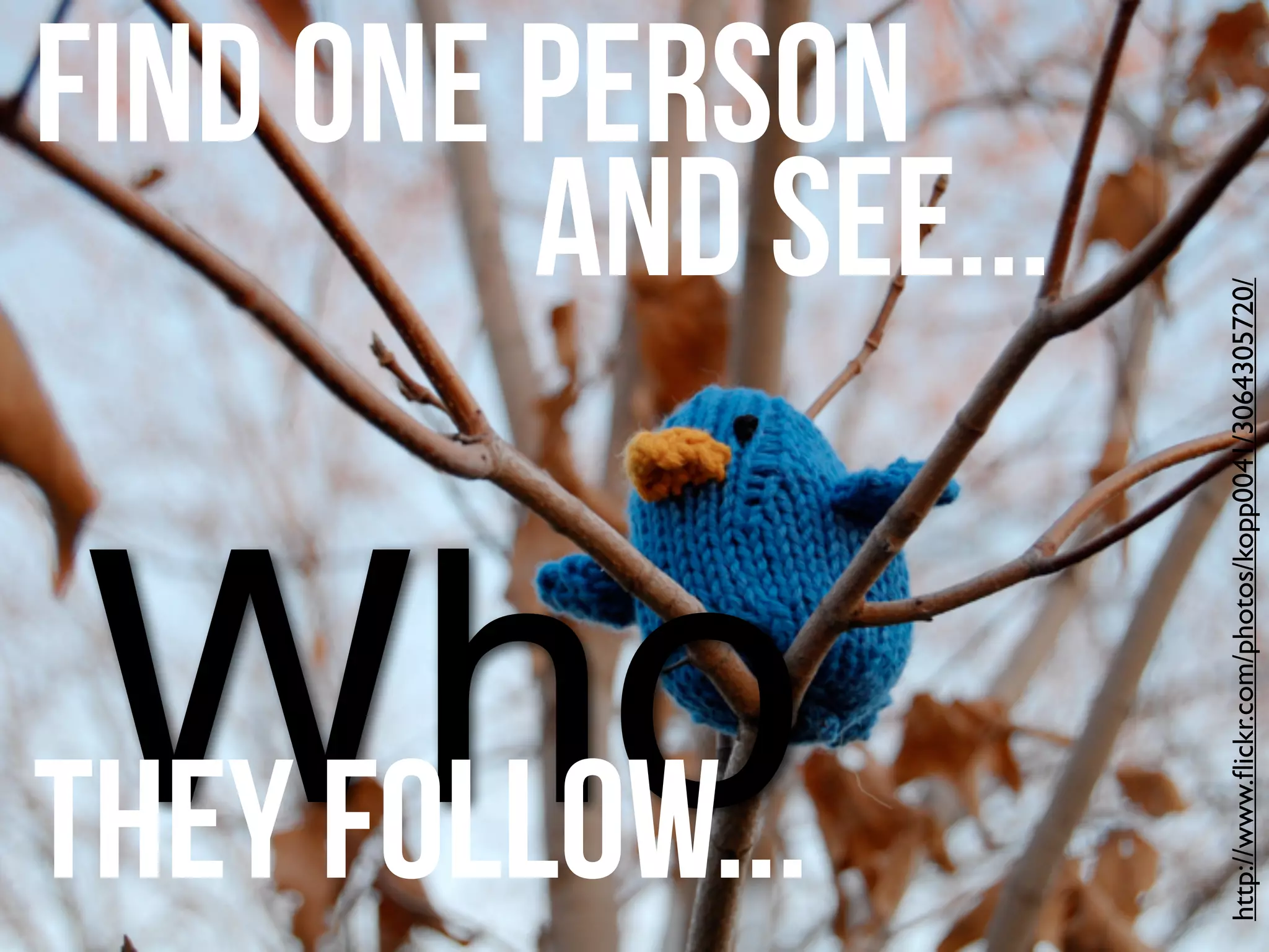 audio
GarageBand
audacity
audiomemo
 