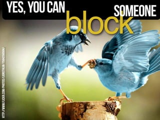 sketchnotes
Paper AdobeDraw
Procreate
 