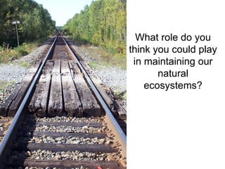 What role do you think you could play in maintaining our natural ecosystems? 