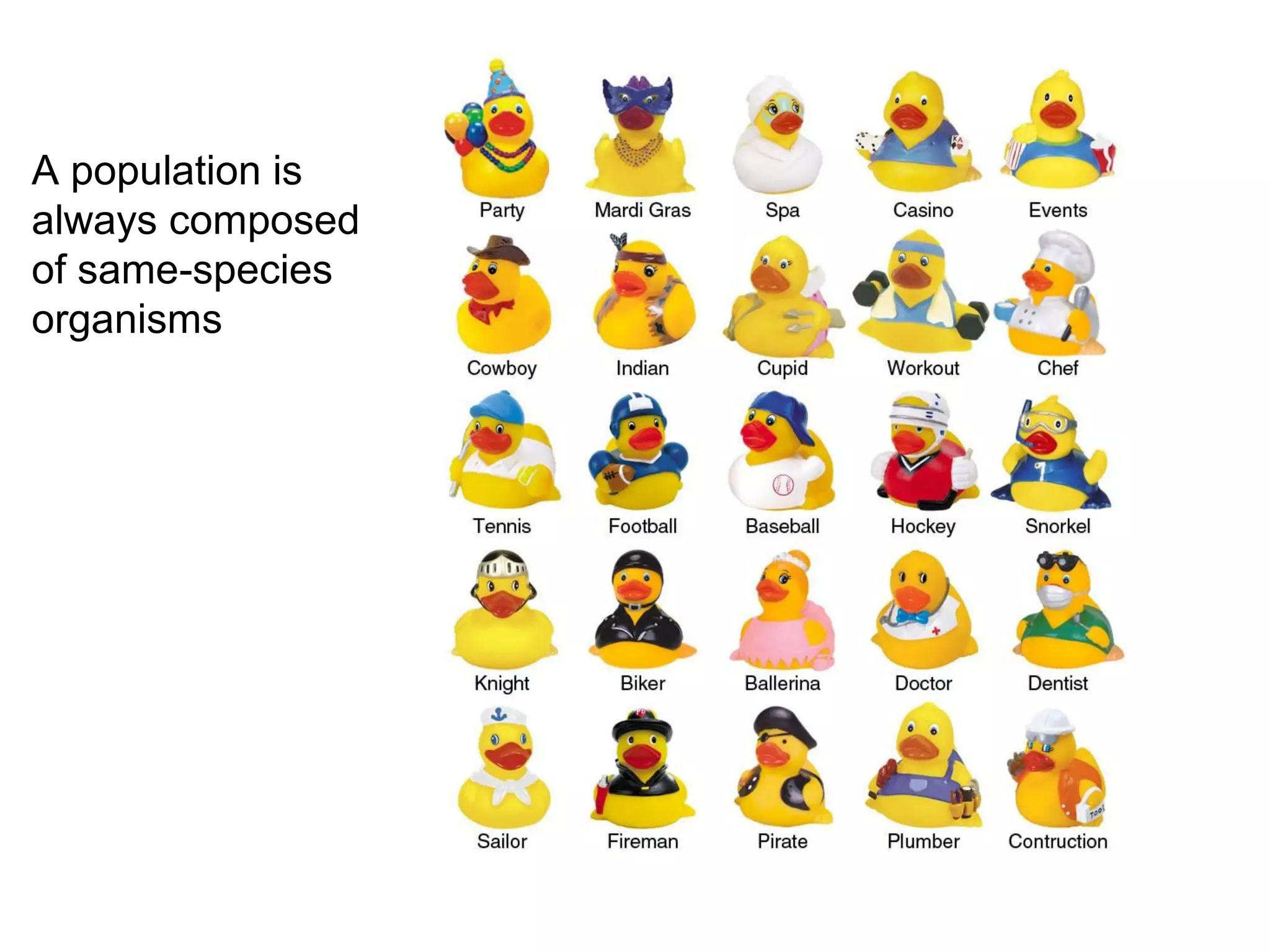 A population is
always composed
of same-species
organisms