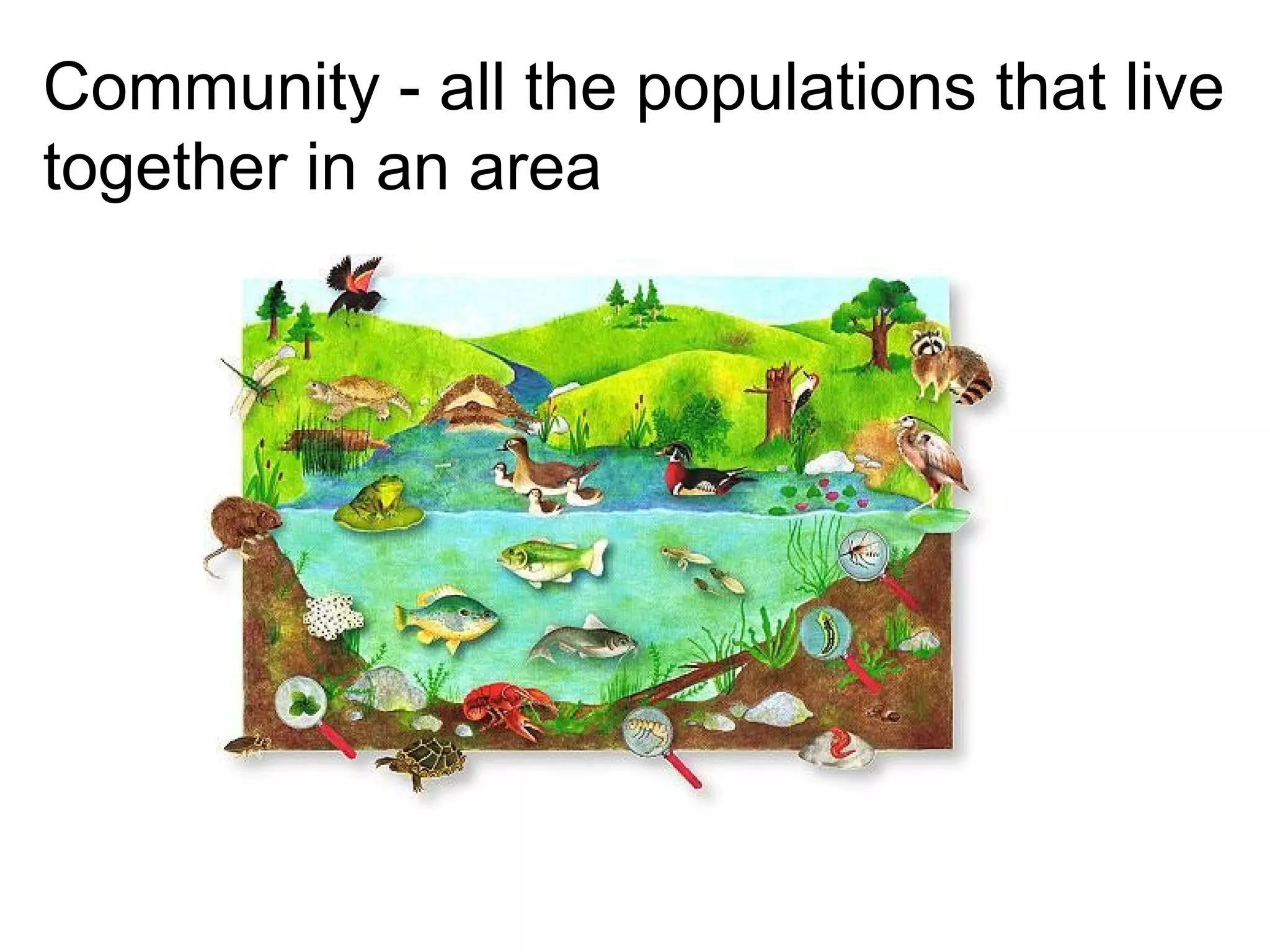 Community - all the populations that live
together in an area