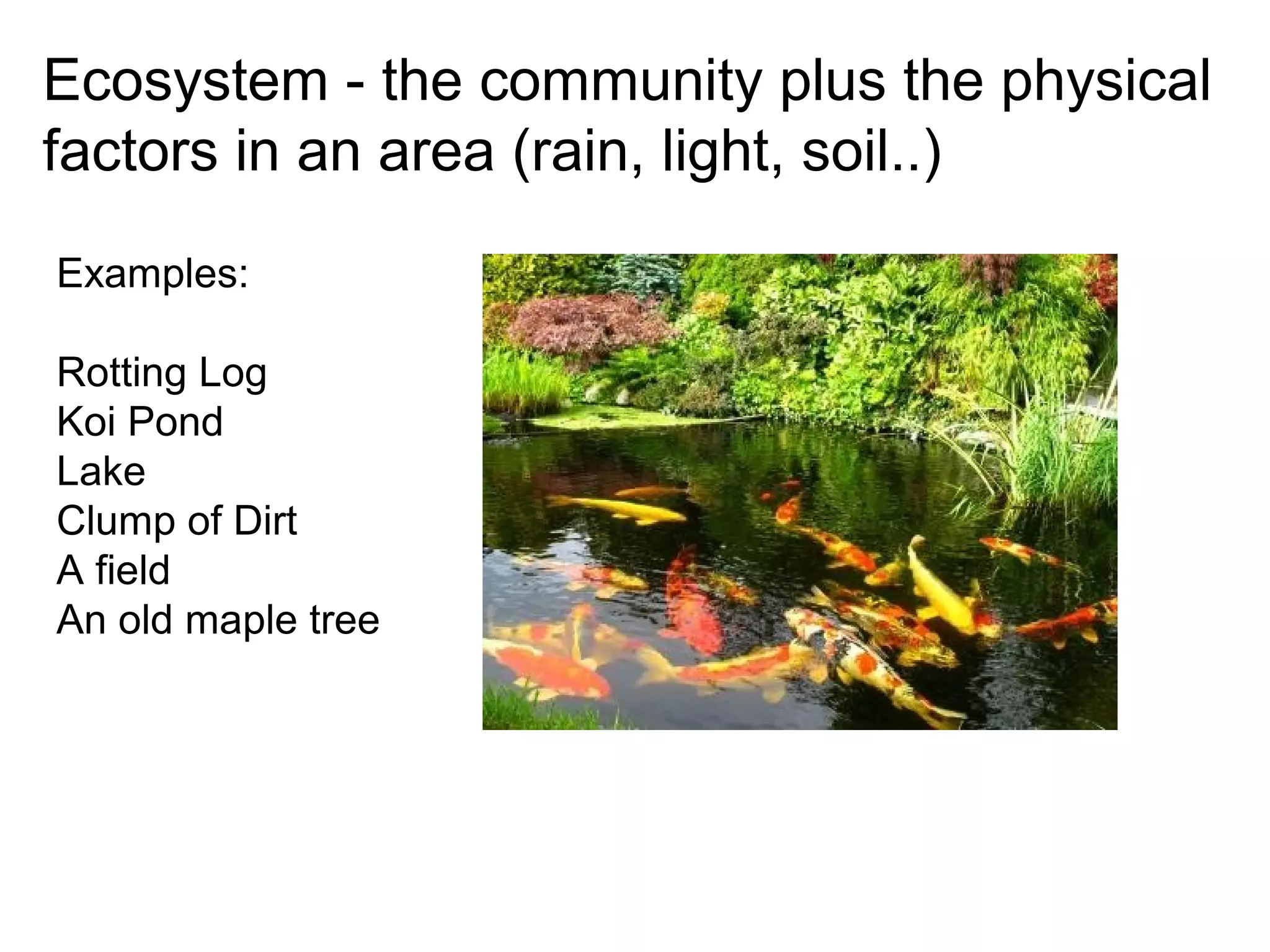 Ecosystem - the community plus the physical
factors in an area (rain, light, soil..)
Examples:
Rotting Log
Koi Pond
Lake
Clump of Dirt
A field
An old maple tree