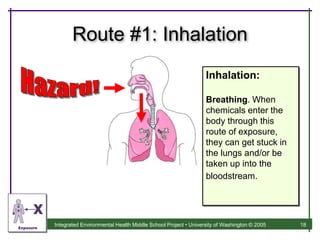 Introduction to Environmental Health slideset .ppt