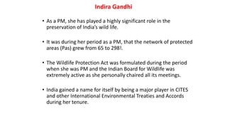 Indira Gandhi
• As a PM, she has played a highly significant role in the
preservation of India’s wild life.
• It was during her period as a PM, that the network of protected
areas (Pas) grew from 65 to 298!.
• The Wildlife Protection Act was formulated during the period
when she was PM and the Indian Board for Wildlife was
extremely active as she personally chaired all its meetings.
• India gained a name for itself by being a major player in CITES
and other International Environmental Treaties and Accords
during her tenure.
 