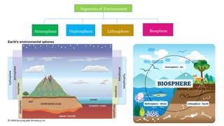 Lith0sphere
Hydrosphere
Atmosphere Biosphere
Segments of Environment
 
