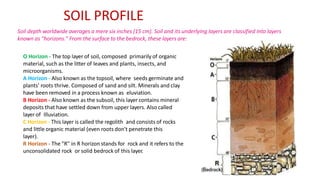 O Horizon - The top layer of soil, composed primarily of organic
material, such as the litter of leaves and plants, insects, and
microorganisms.
A Horizon - Also known as the topsoil, where seeds germinate and
plants' roots thrive. Composed of sand and silt. Minerals and clay
have been removed in a process known as eluviation.
B Horizon - Also known as the subsoil, this layer contains mineral
deposits that have settled down from upper layers. Also called
layer of Illuviation.
C Horizon - This layer is called the regolith and consists of rocks
and little organic material (even roots don't penetrate this
layer).
R Horizon - The "R" in R horizon stands for rock and it refers to the
unconsolidated rock or solid bedrock of this layer.
Soil depth worldwide averages a mere six inches (15 cm). Soil and its underlying layers are classified into layers
known as "horizons." From the surface to the bedrock, these layers are:
SOIL PROFILE
 