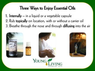 Three Ways to Enjoy Essential Oils
1. Internally – in a liquid or a vegetable capsule
2. Rub topically on location, with or without a carrier oil
3. Breathe through the nose and through diffusing into the air

 
