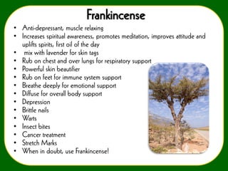 Frankincense
• Anti-depressant, muscle relaxing
• Increases spiritual awareness, promotes meditation, improves attitude and
uplifts spirits, first oil of the day
• mix with lavender for skin tags
• Rub on chest and over lungs for respiratory support
• Powerful skin beautifier
• Rub on feet for immune system support
• Breathe deeply for emotional support
• Diffuse for overall body support
• Depression
• Brittle nails
• Warts
• Insect bites
• Cancer treatment
• Stretch Marks
• When in doubt, use Frankincense!

 