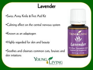 Lavender
•Swiss Army Knife & First Aid Kit
•Calming effect on the central nervous system

•Known as an adaptogen
•Highly regarded for skin and beauty
•Soothes and cleanses common cuts, bruises and
skin irritations

 
