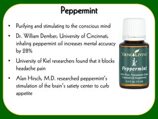 Peppermint
• Purifying and stimulating to the conscious mind
• Dr. William Dember, University of Cincinnati,
inhaling peppermint oil increases mental accuracy
by 28%
• University of Kiel researchers found that it blocks
headache pain

• Alan Hirsch, M.D. researched peppermint’s
stimulation of the brain’s satiety center to curb
appetite

 