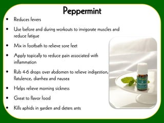 Peppermint
•

Reduces fevers

•

Use before and during workouts to invigorate muscles and
reduce fatigue

•

Mix in footbath to relieve sore feet

•

Apply topically to reduce pain associated with
inflammation

•

Rub 4-6 drops over abdomen to relieve indigestion,
flatulence, diarrhea and nausea

•

Helps relieve morning sickness

•

Great to flavor food

•

Kills aphids in garden and deters ants

 