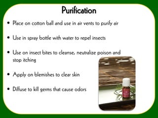 Purification
• Place on cotton ball and use in air vents to purify air
• Use in spray bottle with water to repel insects

• Use on insect bites to cleanse, neutralize poison and
stop itching
• Apply on blemishes to clear skin
• Diffuse to kill germs that cause odors

 