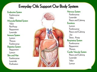 Everyday Oils Support Our Body System
Endocrine System
Frankincense
Valor
Muscular/Skeletal System
Valor
PanAway
Peppermint
Lavender
Immune System
Lemon
Thieves
Frankincense
Digestive System
Peppermint
Lemon
Skin and Hair
Frankincense
Lavender
Purification

Nervous System
Frankincense
Lavender
Peace and Calming
Emotions
Lemon
Frankincense
Peace and Calming
Joy
Stress Away
Respiratory System
Frankincense
Peppermint
Thieves
Cardio Vascular System
Peace and Calming
Lavender
Valor
Lemon

 