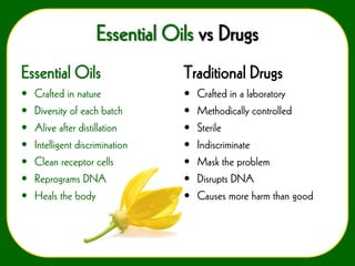 Essential Oils vs Drugs
Essential Oils

Traditional Drugs

•
•
•
•
•
•
•

•
•
•
•
•
•
•

Crafted in nature
Diversity of each batch
Alive after distillation
Intelligent discrimination
Clean receptor cells
Reprograms DNA
Heals the body

Crafted in a laboratory
Methodically controlled
Sterile
Indiscriminate
Mask the problem
Disrupts DNA
Causes more harm than good

 