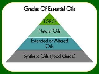 Grades Of Essential Oils
TGEO

Natural Oils
Extended or Altered
Oils

Synthetic Oils (Food Grade)

 
