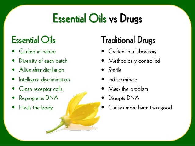 Intro To Eo 101 Final