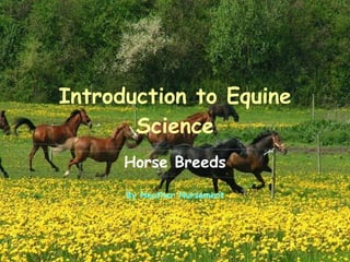 Introduction to Equine Science Horse Breeds By Heather Nursement 