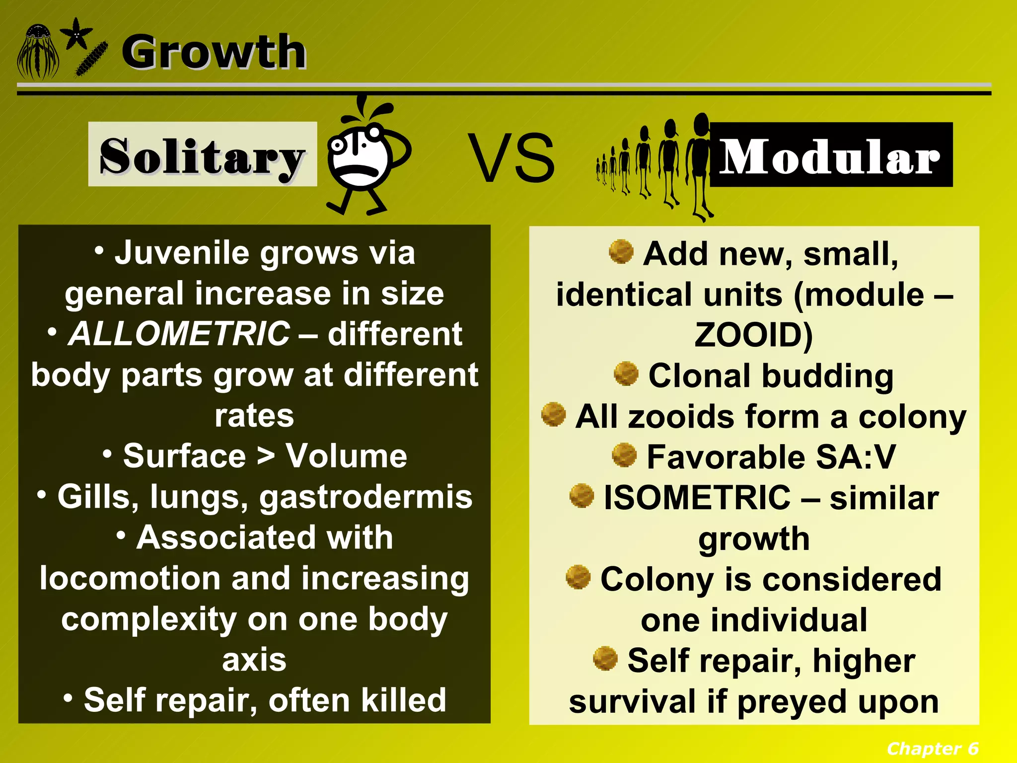 Growth

    Solitary                VS            Modular
    • Juvenile grows via               Add new, small,
   general increase in size     identical units (module –
 • ALLOMETRIC – different                  ZOOID)
body parts grow at different           Clonal budding
             rates                All zooids form a colony
     • Surface > Volume                Favorable SA:V
• Gills, lungs, gastrodermis       ISOMETRIC – similar
      • Associated with                    growth
locomotion and increasing          Colony is considered
  complexity on one body               one individual
              axis                    Self repair, higher
  • Self repair, often killed    survival if preyed upon
                                                    Chapter 6
 