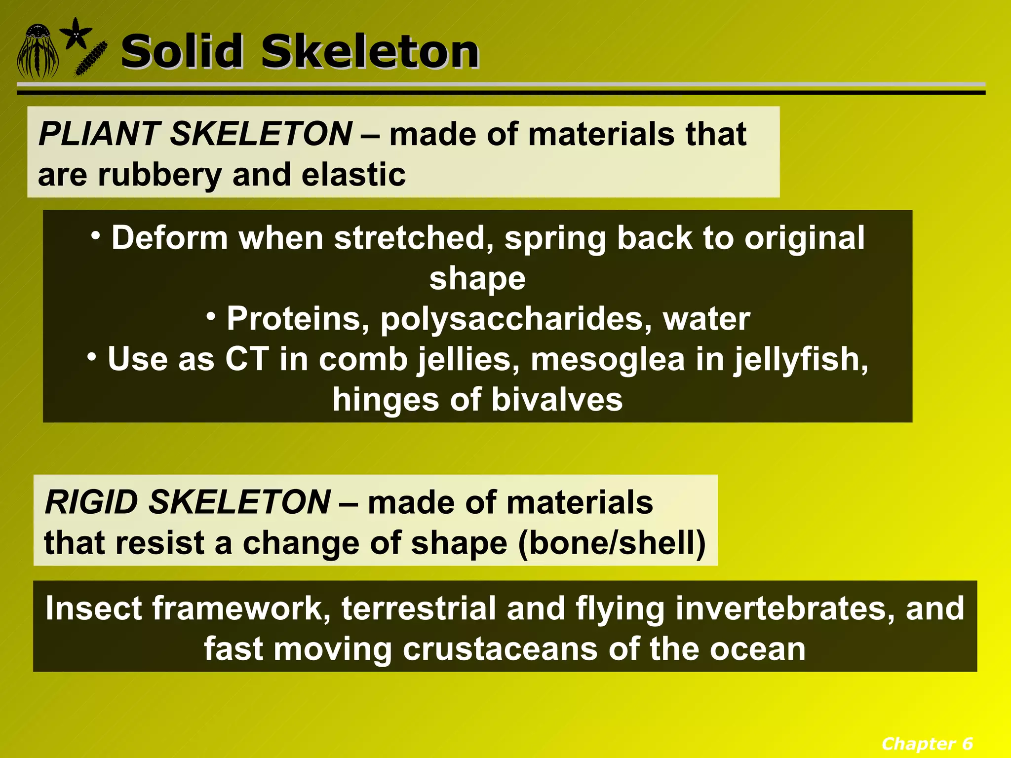 Solid Skeleton
PLIANT SKELETON – made of materials that
are rubbery and elastic
  • Deform when stretched, spring back to original
                        shape
         • Proteins, polysaccharides, water
  • Use as CT in comb jellies, mesoglea in jellyfish,
                  hinges of bivalves


RIGID SKELETON – made of materials
that resist a change of shape (bone/shell)
Insect framework, terrestrial and flying invertebrates, and
          fast moving crustaceans of the ocean

                                                        Chapter 6
 