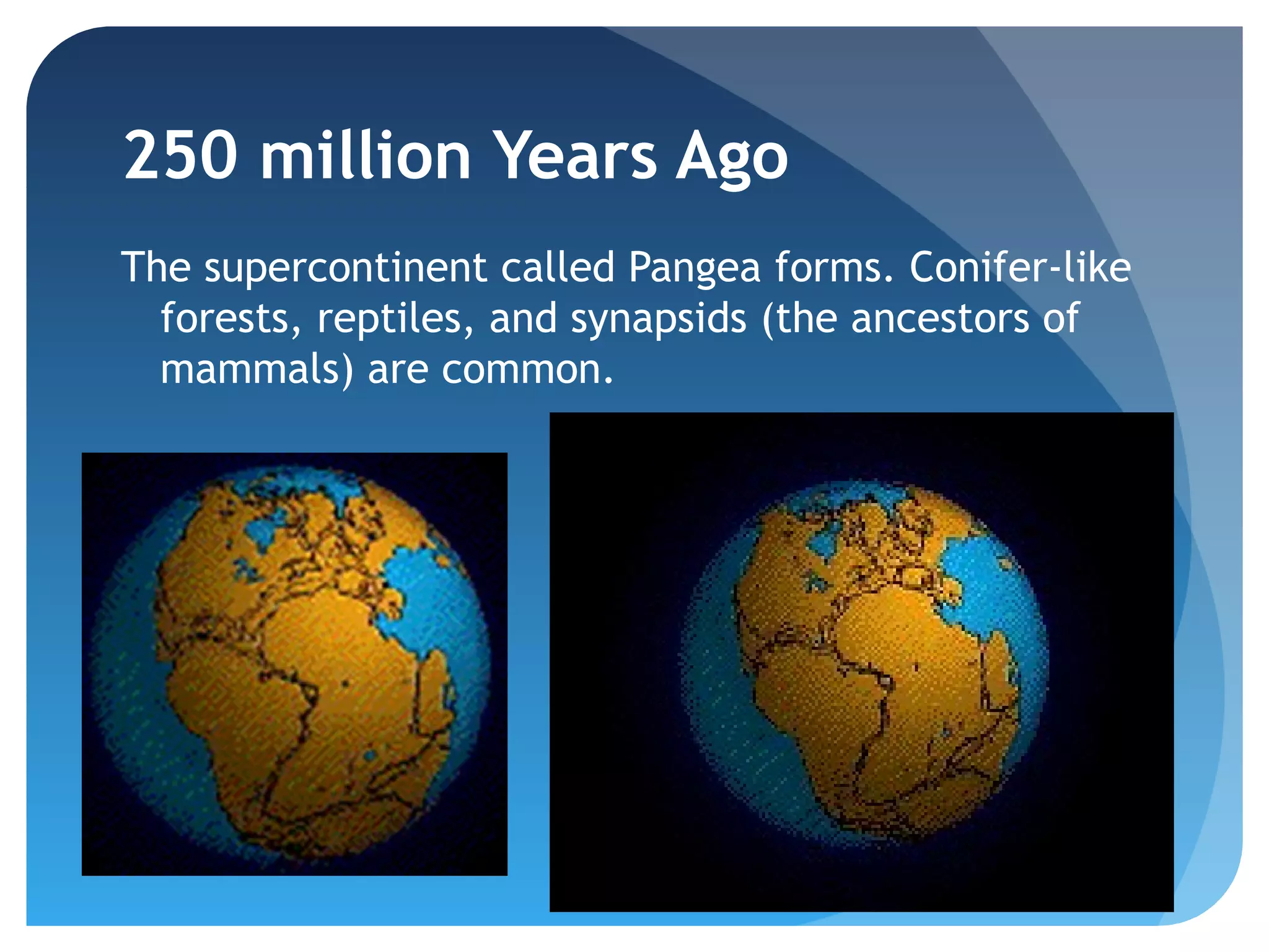 Intro to evolution | PPT