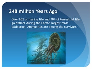 248 million Years Ago
 Over 90% of marine life and 70% of terrestrial life
 go extinct during the Earth's largest mass
 extinction. Ammonites are among the survivors.
 