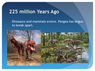 225 million Years Ago
 Dinosaurs and mammals evolve. Pangea has begun
 to break apart.
 