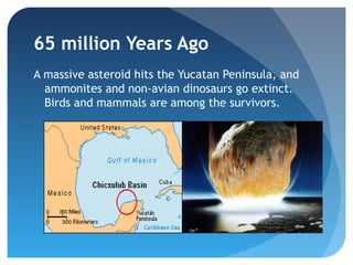 65 million Years Ago
A massive asteroid hits the Yucatan Peninsula, and
  ammonites and non-avian dinosaurs go extinct.
  Birds and mammals are among the survivors.
 