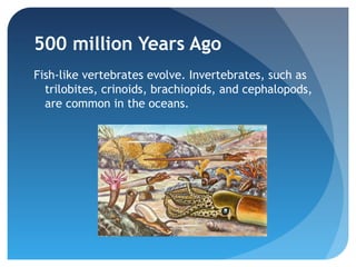 500 million Years Ago
Fish-like vertebrates evolve. Invertebrates, such as
  trilobites, crinoids, brachiopids, and cephalopods,
  are common in the oceans.
 