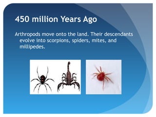 450 million Years Ago
Arthropods move onto the land. Their descendants
  evolve into scorpions, spiders, mites, and
  millipedes.
 