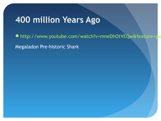 400 million Years Ago
http://www.youtube.com/watch?v=mneDhOtVEQw&feature=you

Megaladon Pre-historic Shark
 