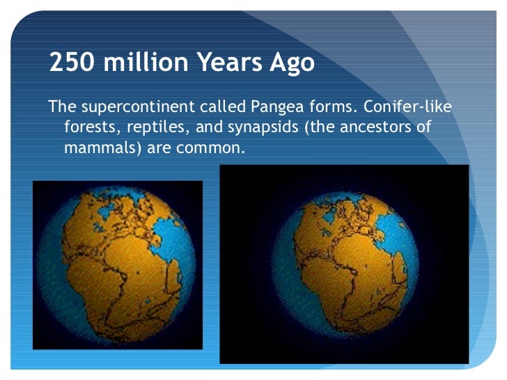 intro to evolution when did pangea form