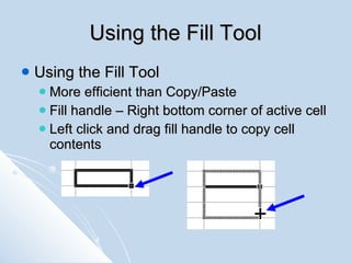 Using the Fill Tool <ul><li>Using the Fill Tool </li></ul><ul><ul><li>More efficient than Copy/Paste </li></ul></ul><ul><u...