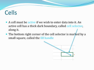 Cells
 A cell must be active if we wish to enter data into it. An
active cell has a thick dark boundary, called cell selector,
along it.
 The bottom right corner of the cell selector is marked by a
small square, called the fill handle
 