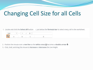 Changing Cell Size for all Cells
 