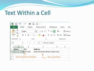 Text Within a Cell
 