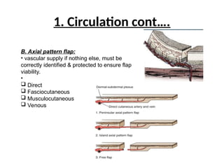 introduction to flaps presentation pptx. | PPT