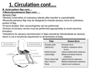 Random Pattern Flap Innervation introduction to flaps presentation pptx. | PPT