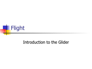 Flight Introduction to the Glider 