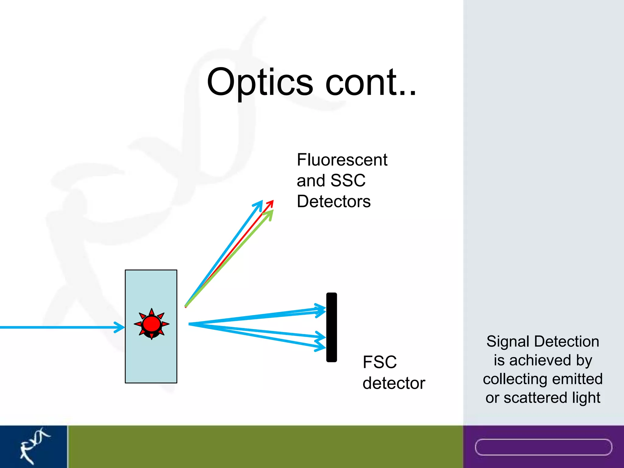 Optics cont..
     Fluorescent
     and SSC
     Detectors




                       Signal Detection
            FSC         is achieved by
            detector   collecting emitted
                       or scattered light
 