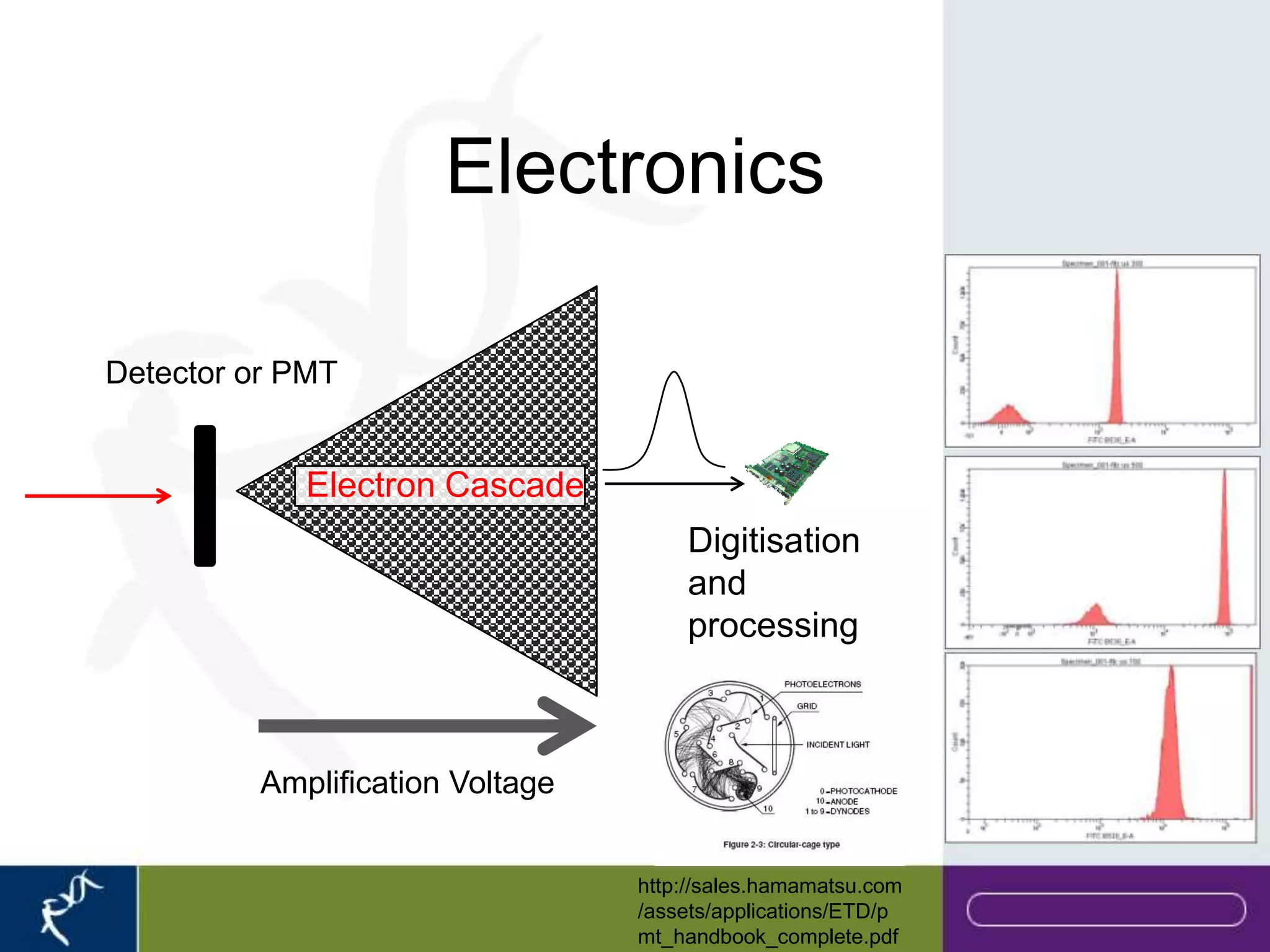 Electronics

Detector or PMT


            Electron Cascade
                                     Digitisation
                                     and
                                     processing



         Amplification Voltage


                                 http://sales.hamamatsu.com
                                 /assets/applications/ETD/p
                                 mt_handbook_complete.pdf
 