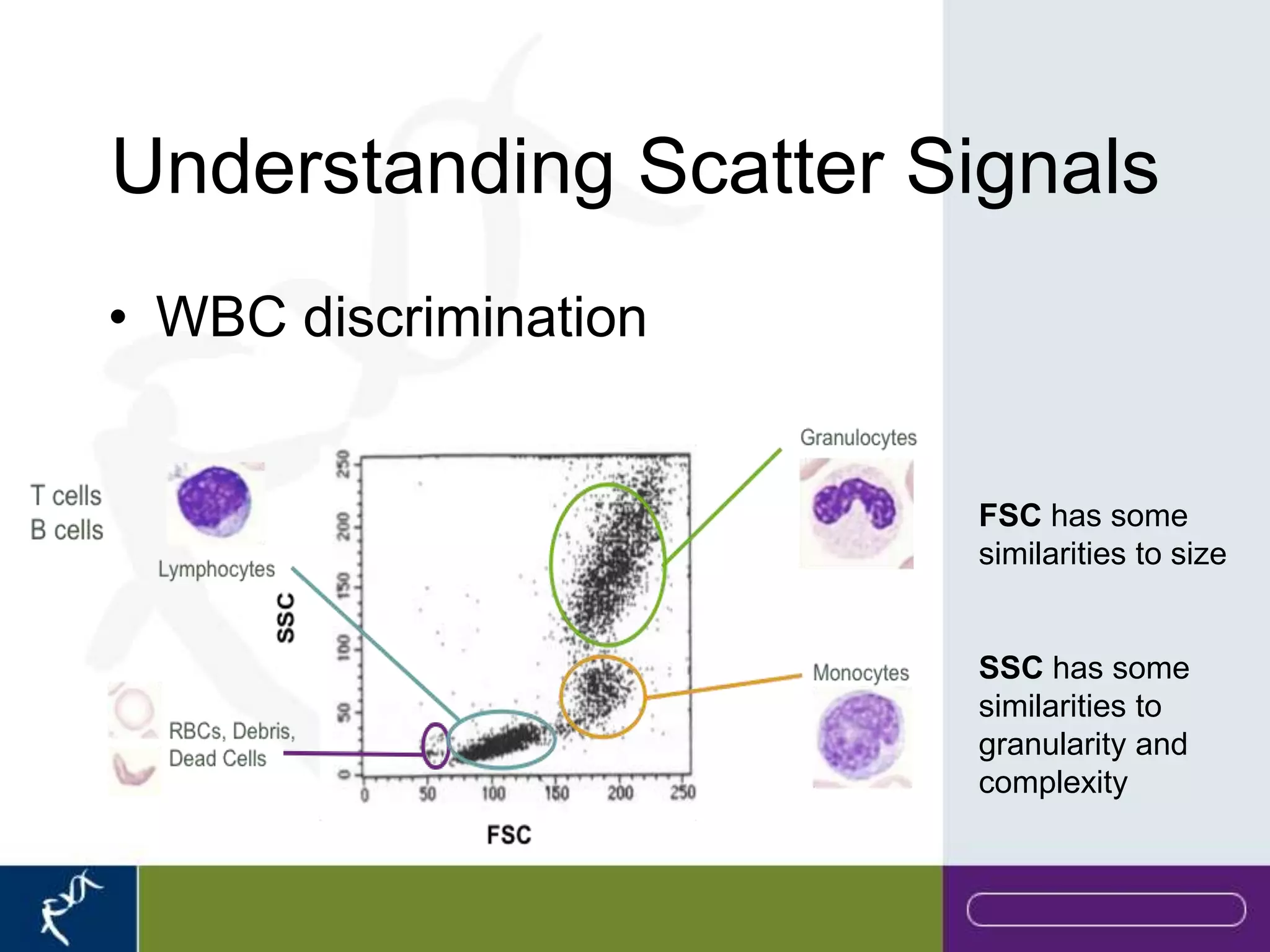 Understanding Scatter Signals
• WBC discrimination


                       FSC has some
                       similarities to size


                       SSC has some
                       similarities to
                       granularity and
                       complexity
 